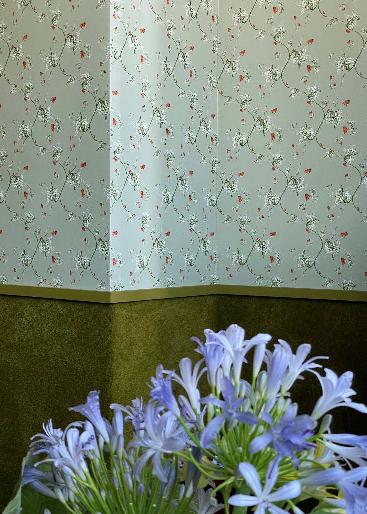 MAPLE Superflower Studio